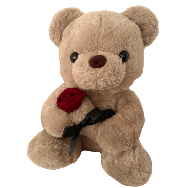 Oso peluche 45cm más globo con helio 4