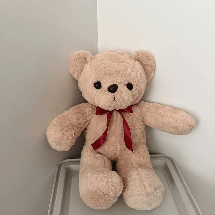 Oso peluche 45cm más globo con helio 5