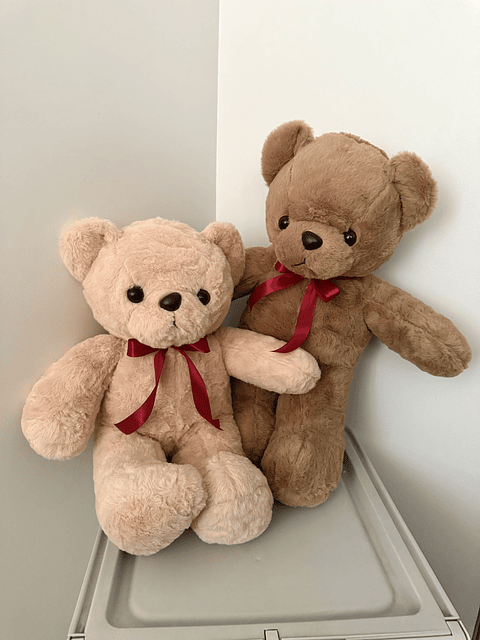 Oso Peluche Teddy 50cm