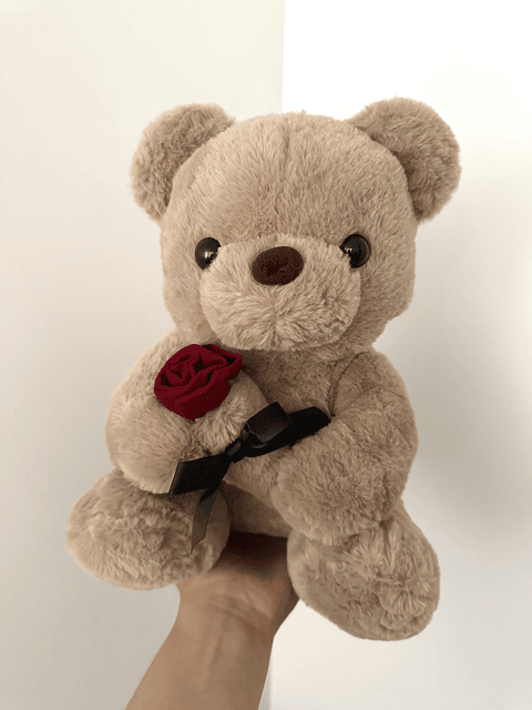 Oso Peluche Teddy 40cm con Rosa