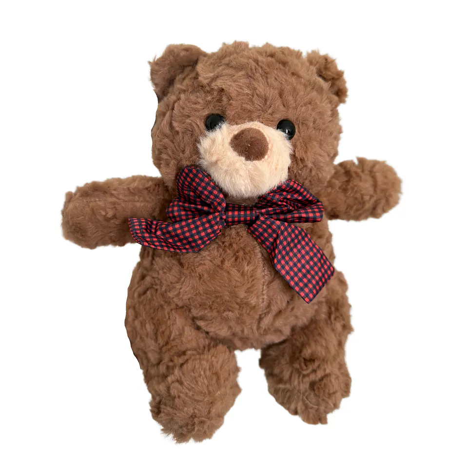 Box Peluche con Globo Burbuja Personalizado 10