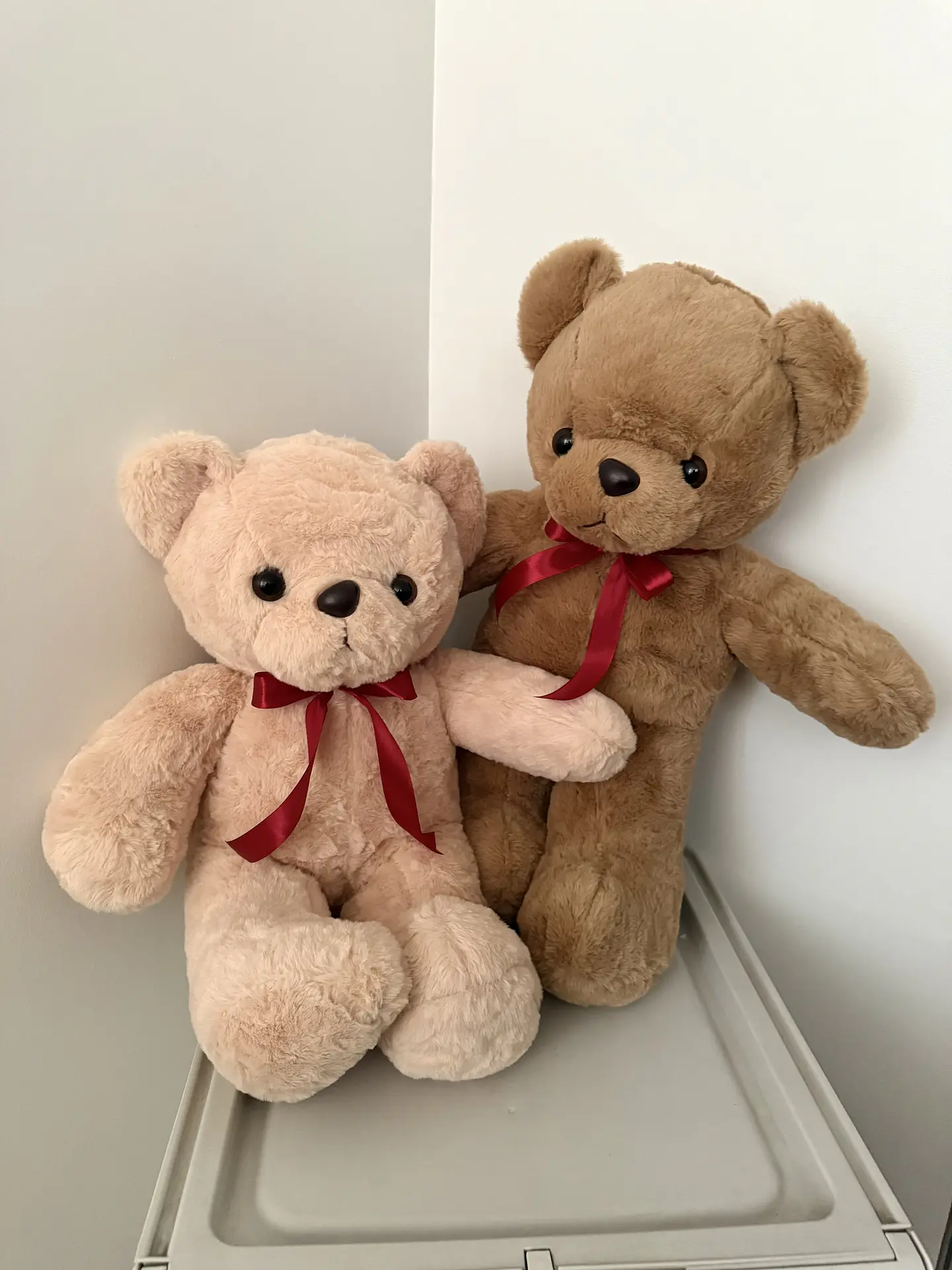Oso Teddy Racimo Globos Corazón  2
