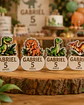Lembrança Íman Aniversário - Dinossauros [Colorido] - Miniatura 1