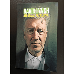 Libro Atrapa el pez dorado  David Lynch