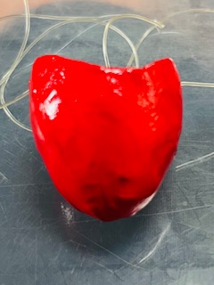 Nariz de Papel Mache