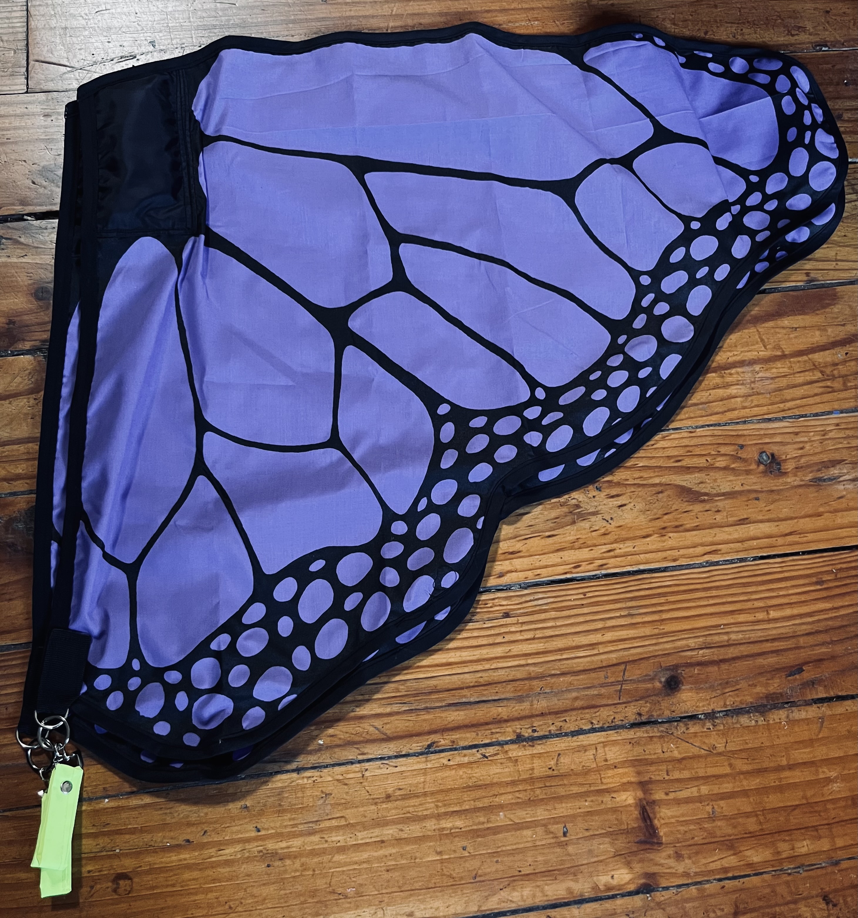 Banderas Mariposa Moradas