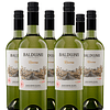 Caja 12 bot. Reserva Sauvignon Blanc