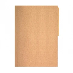 CARPETA CARTULINA KRAFT N19 SIN  ACCOCLIP BUHO 