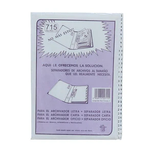 SEPARADOR CARTA - OFICIO  DIARIO NUMERICO JS 1-31 