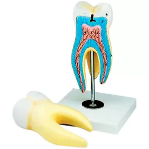 MUELA GIGANTE PINTADA 12 X 12 X 20 CM