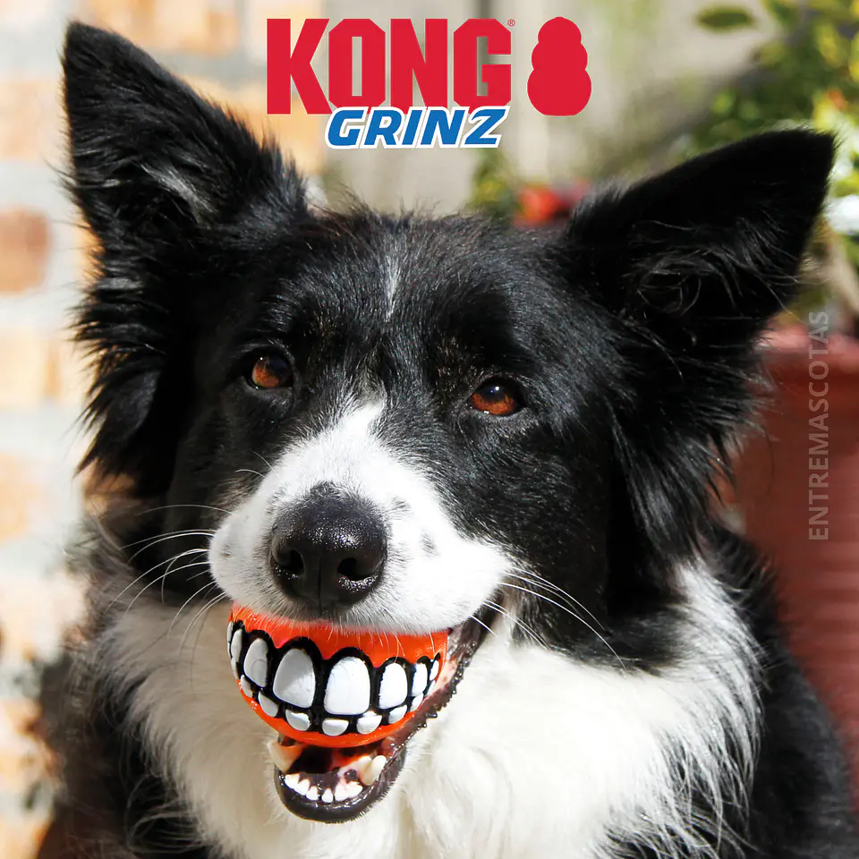  Kong Grinz pelota con sonrisa 3