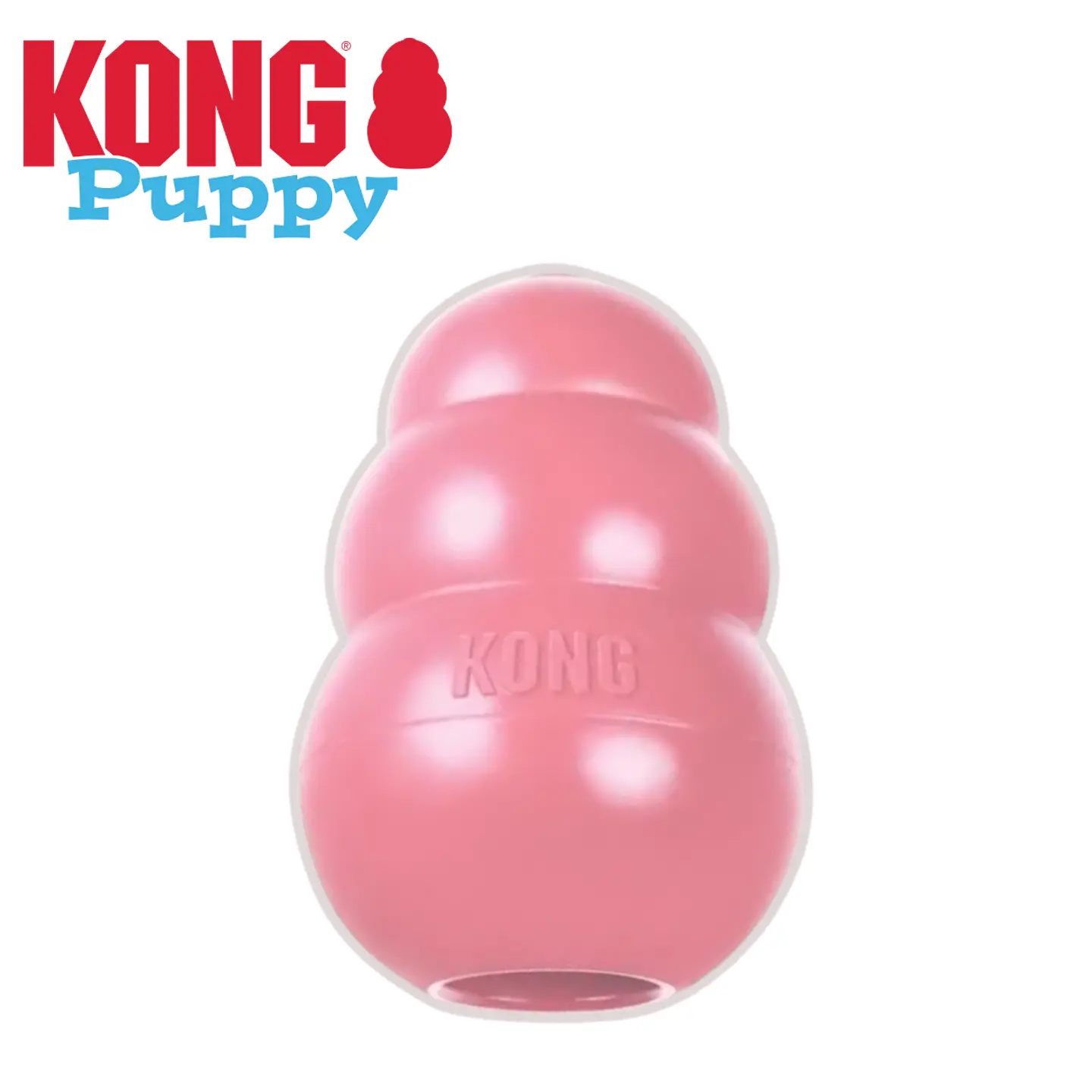 Kong Puppy 3