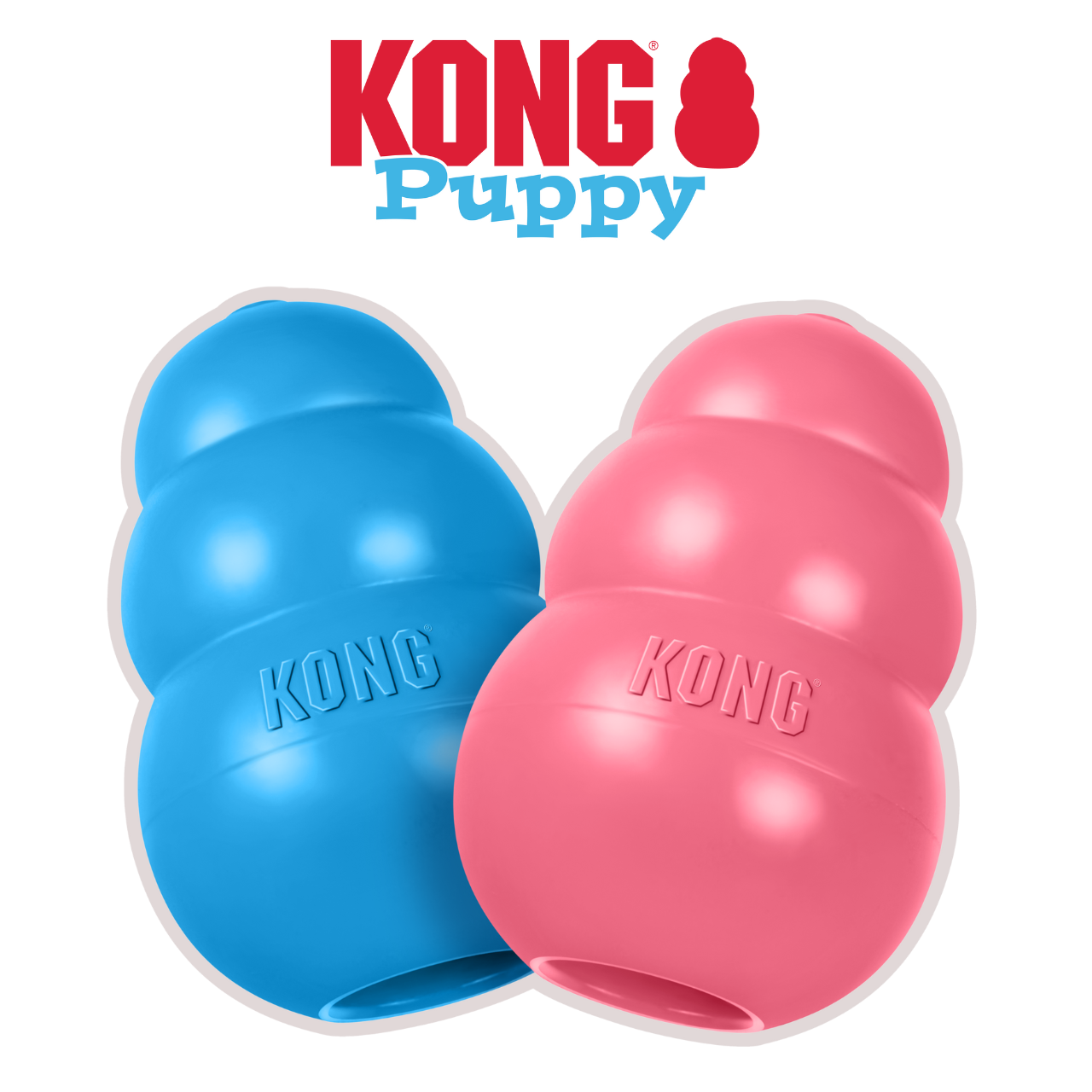 Kong Puppy