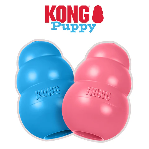 Kong Puppy