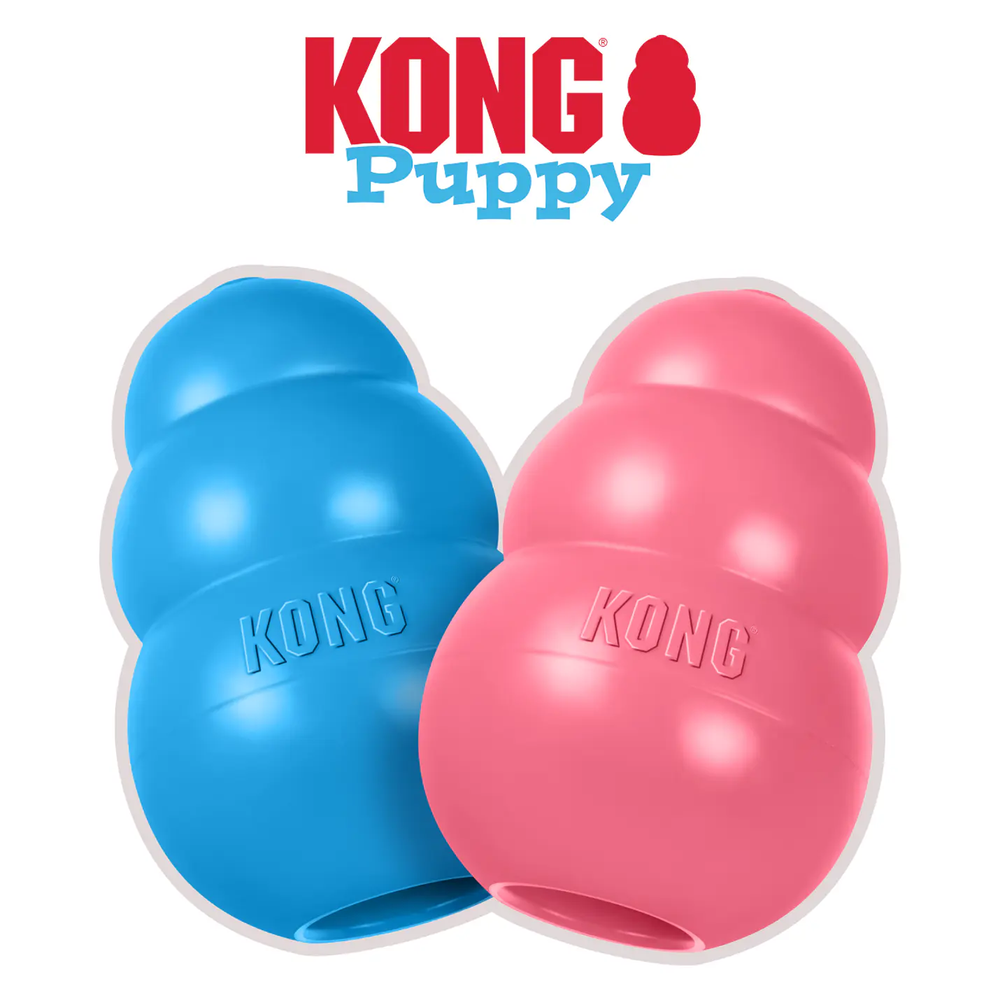 Kong Puppy 1