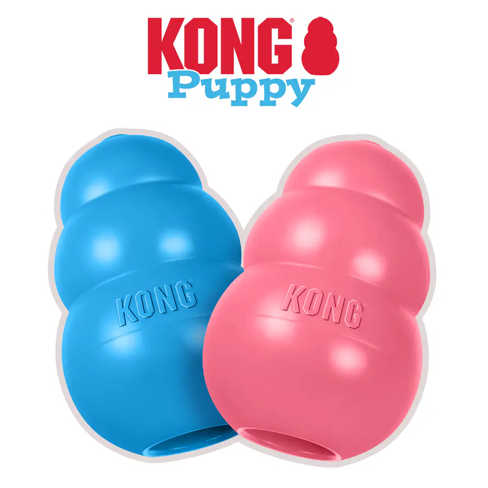 Kong Puppy 1
