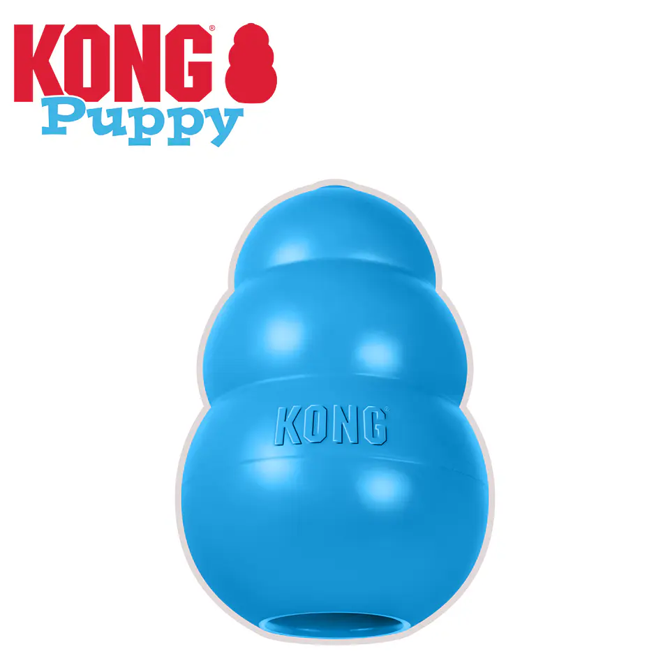 Kong Puppy 5