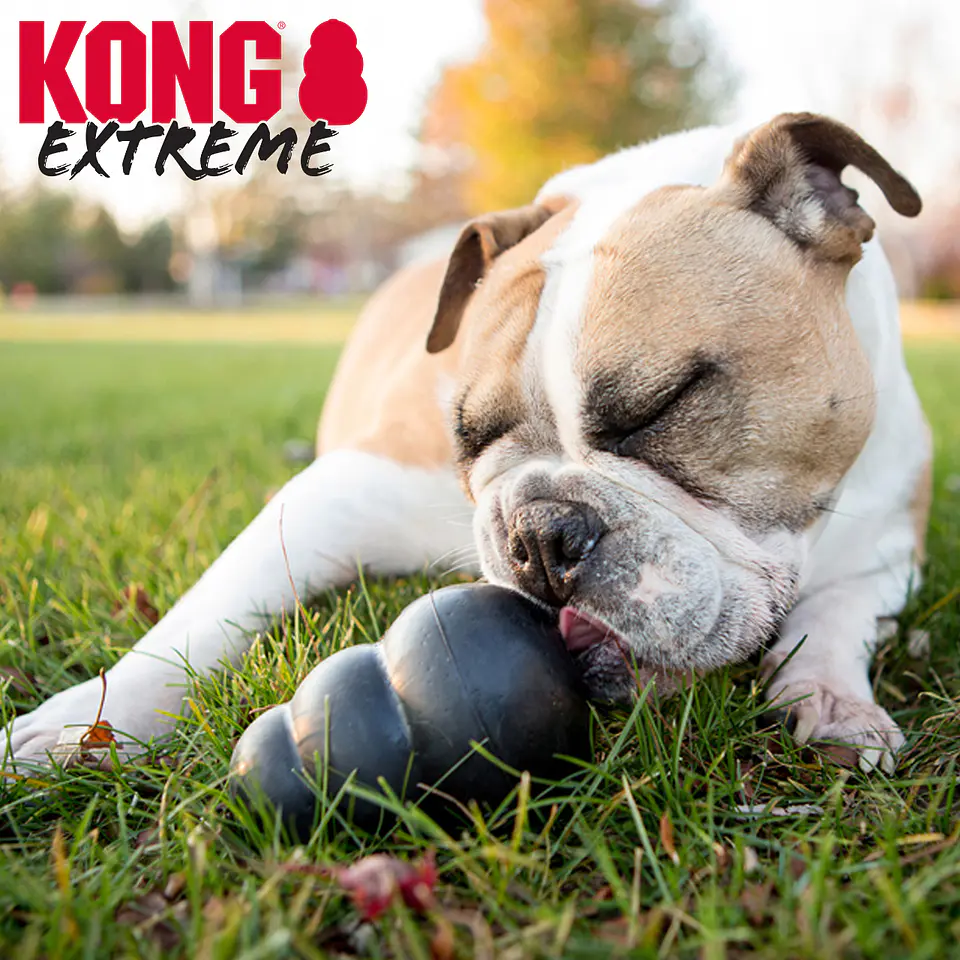 Kong Extreme 3