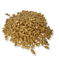 Semillas hierba de Trigo/Pasto - Miniatura 2