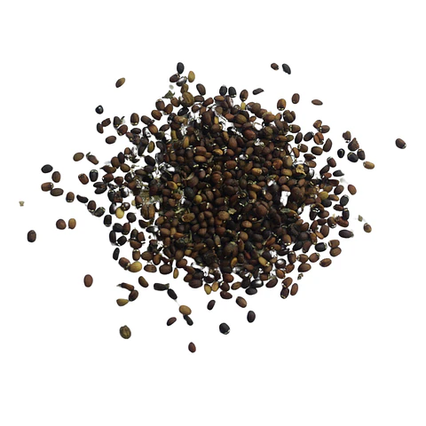 Semillas de Catnip/Hierba Gatera