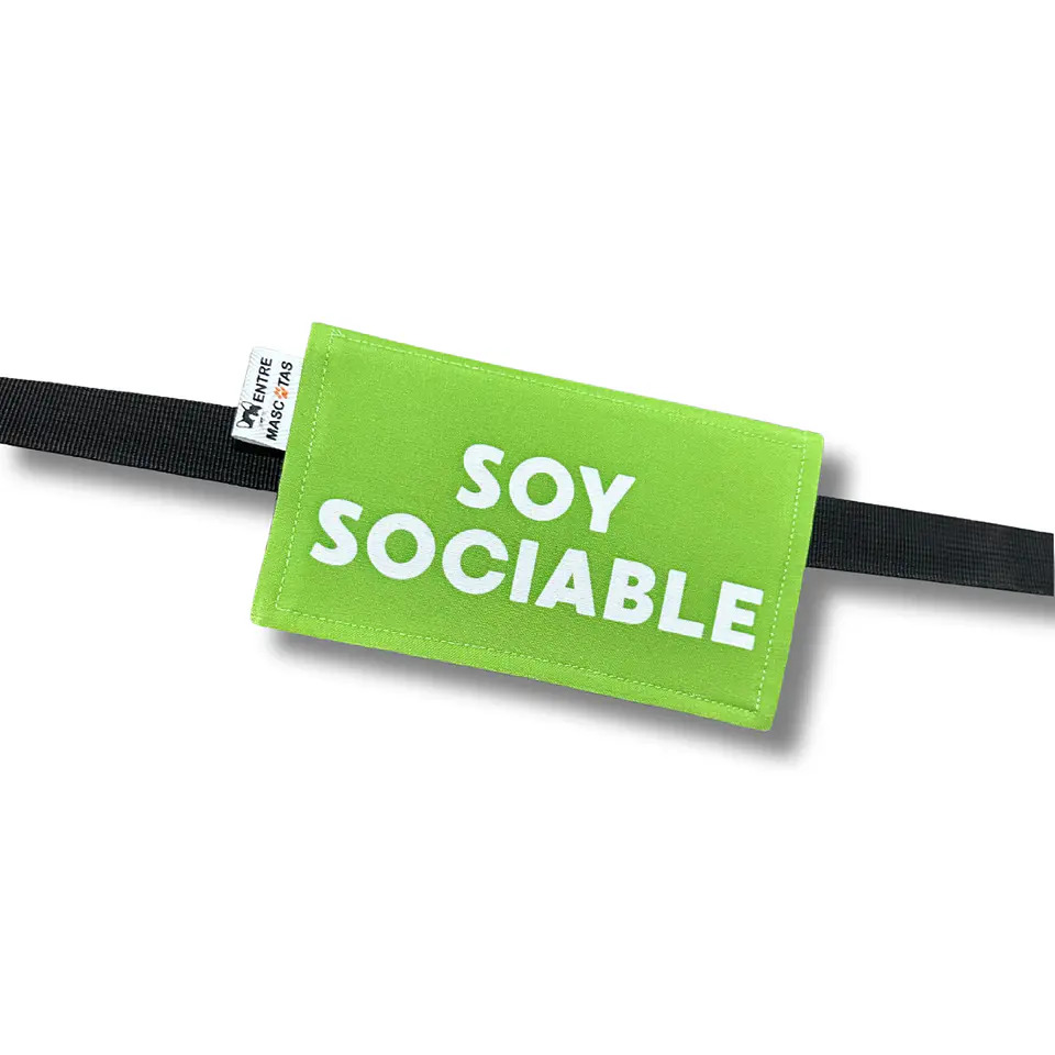Etiquetas para paseos 5