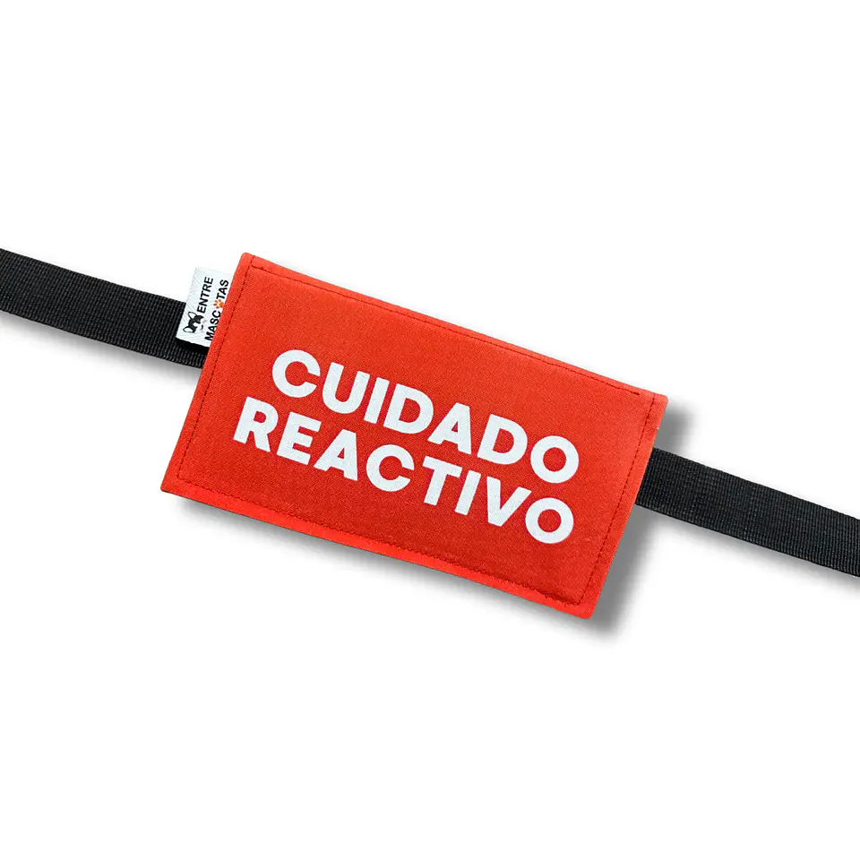 Etiquetas para paseos 8