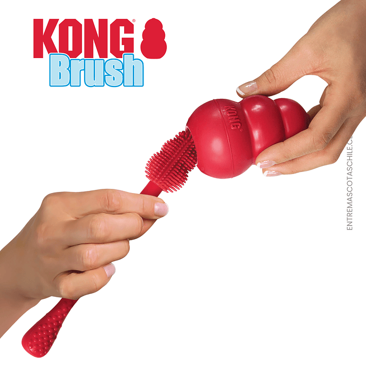 Kong  Brush 2