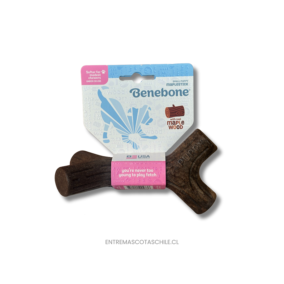 Benebone para cachorros 1