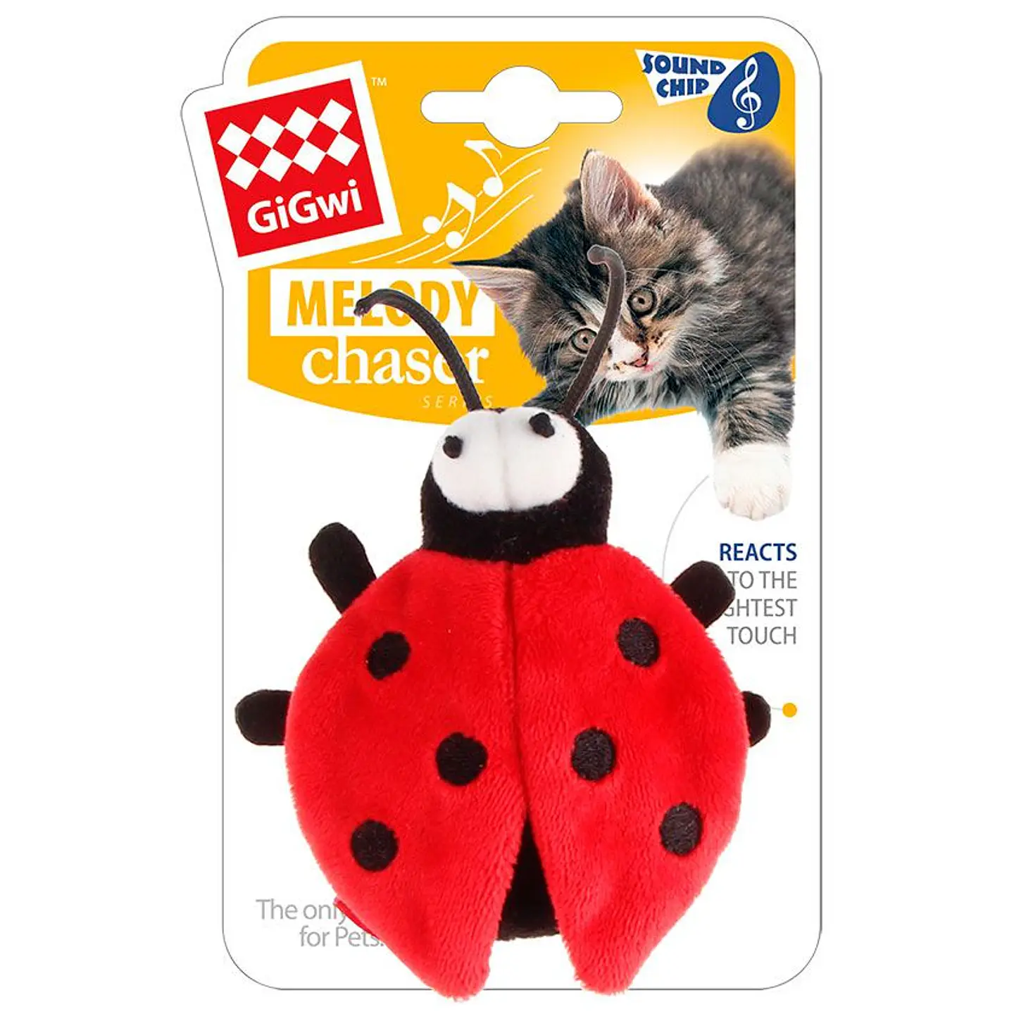 Gigwi Melody chaser Chinita 1