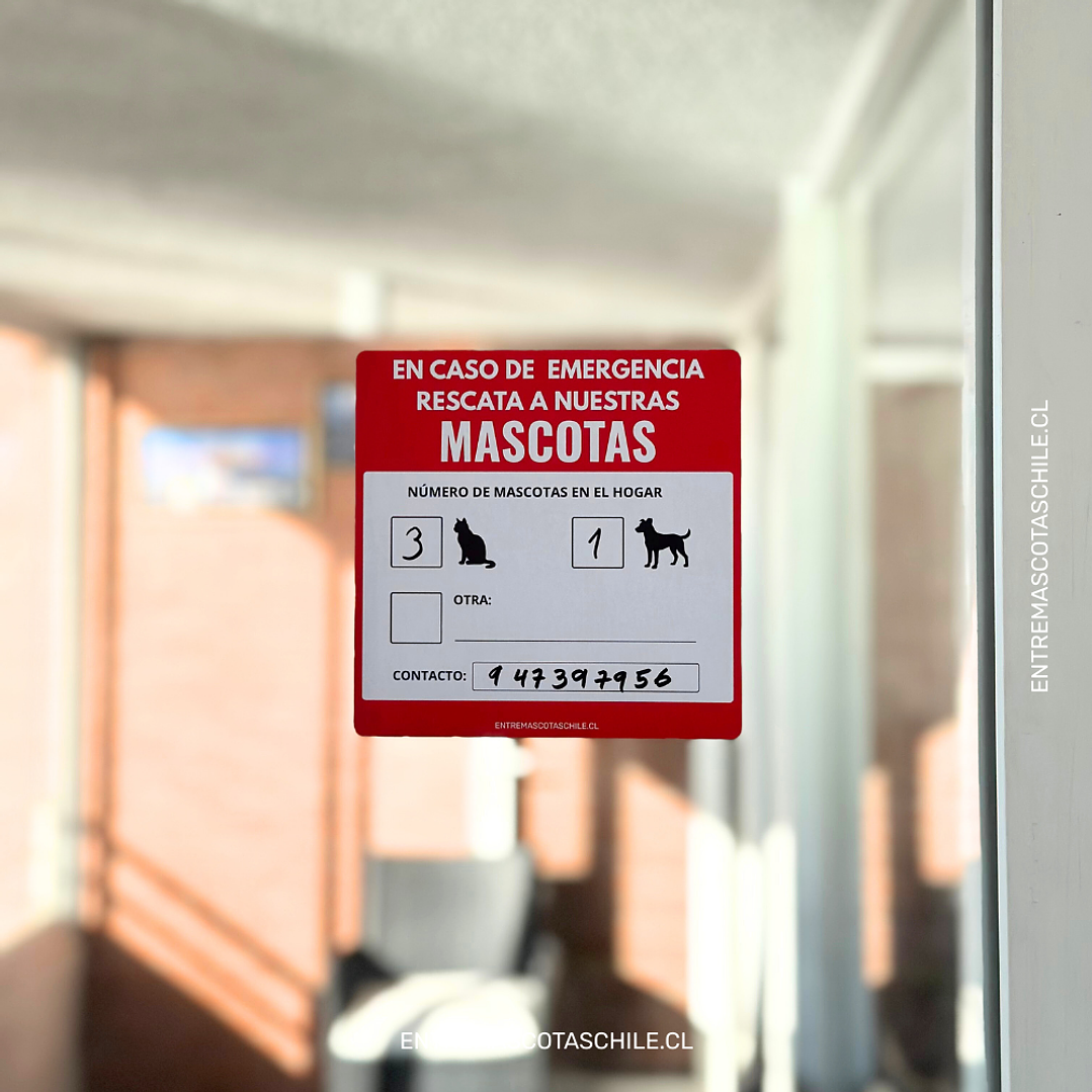 Señaletica para rescate de mascotas  5