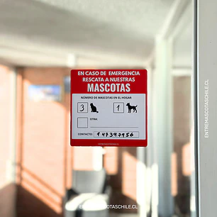Adhesivo de emergencia 