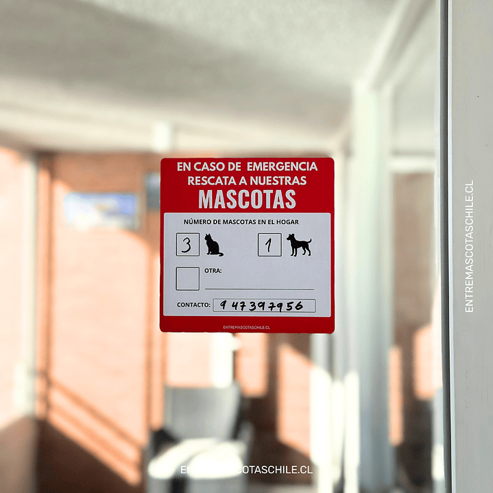 Señaletica para rescate de mascotas  5