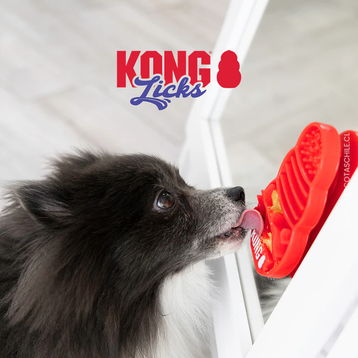 Kong Licks  5