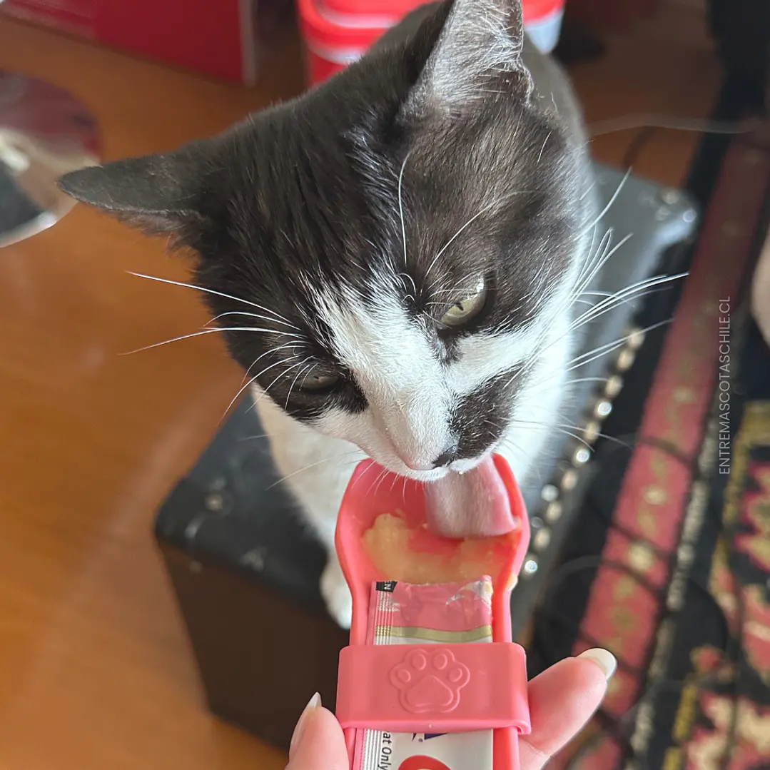 Cuchara para Churu 5