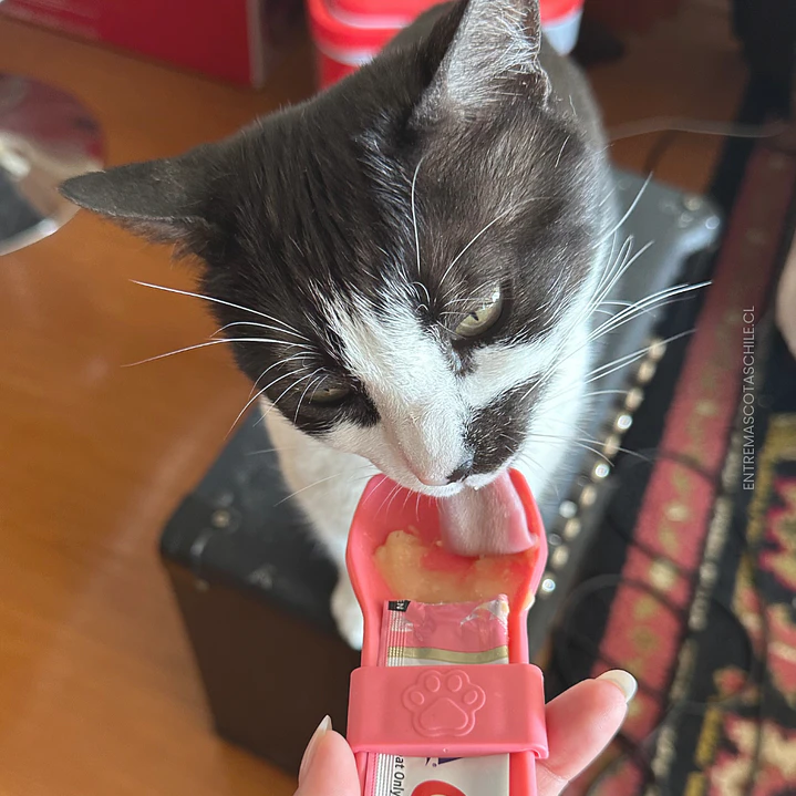 Cuchara para Churu 5