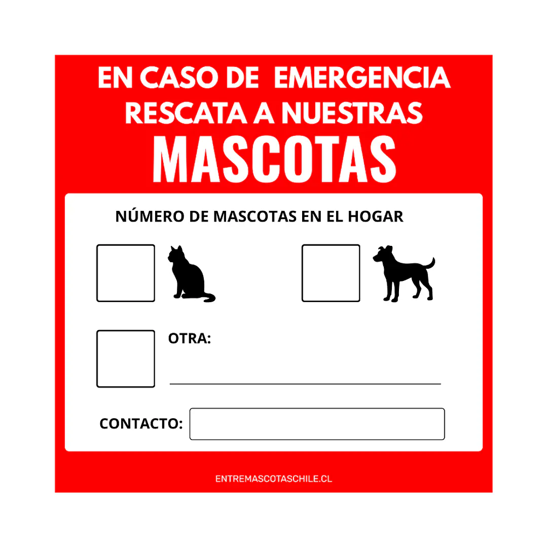 Adhesivo de emergencia  4