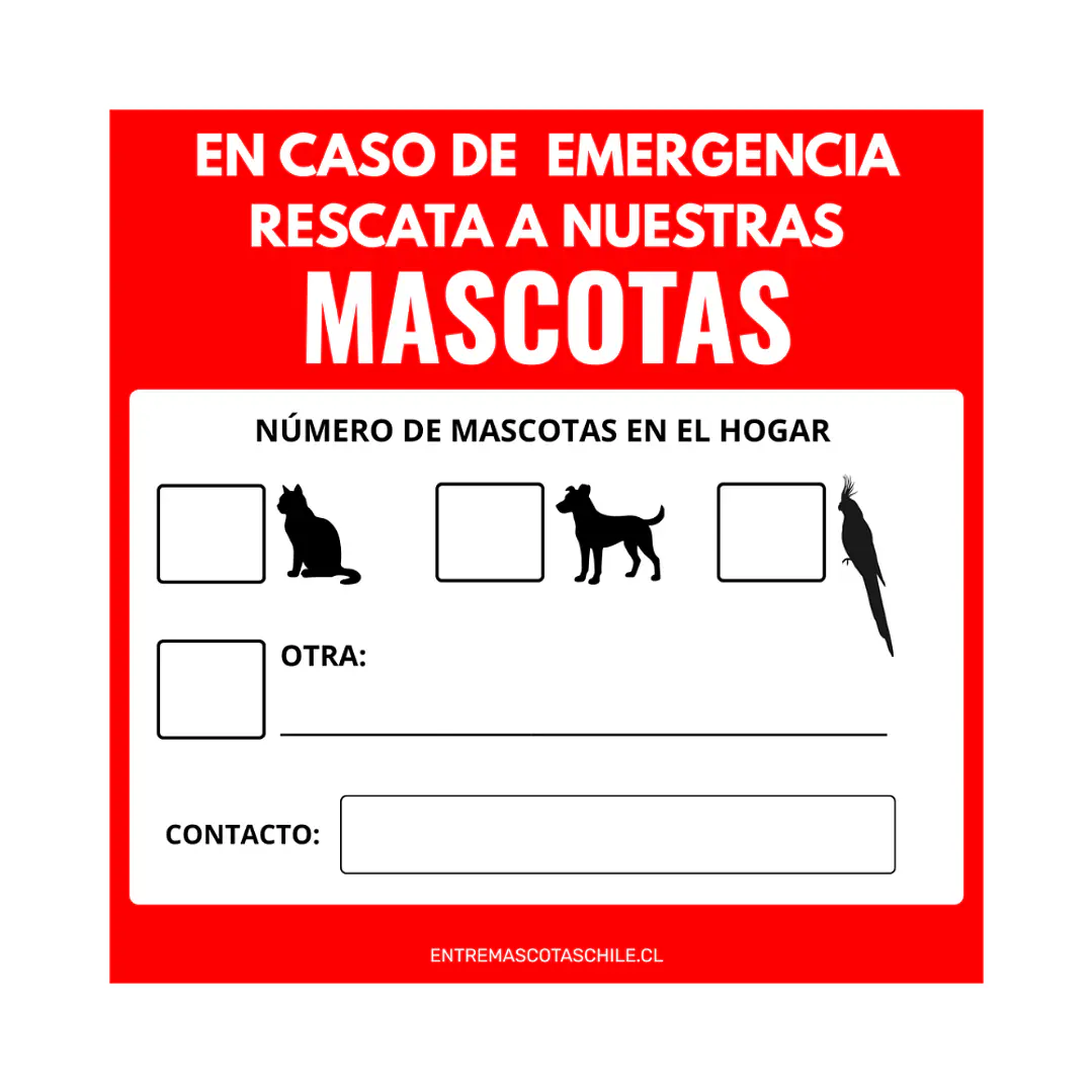 Adhesivo de emergencia  5