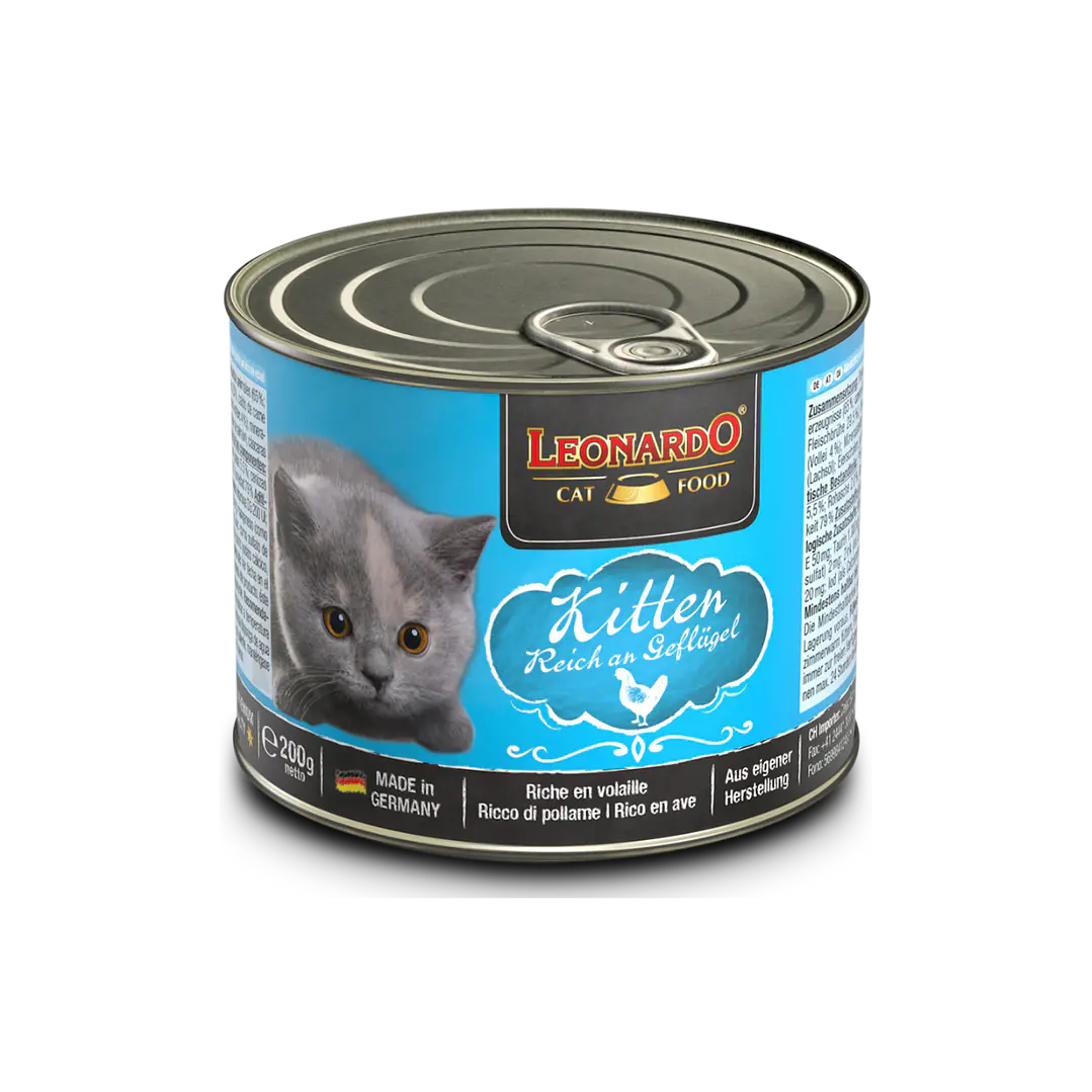 Leonardo Quality Selection Kitten 1