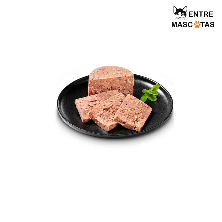 Leonardo Quality Selection Kitten 3