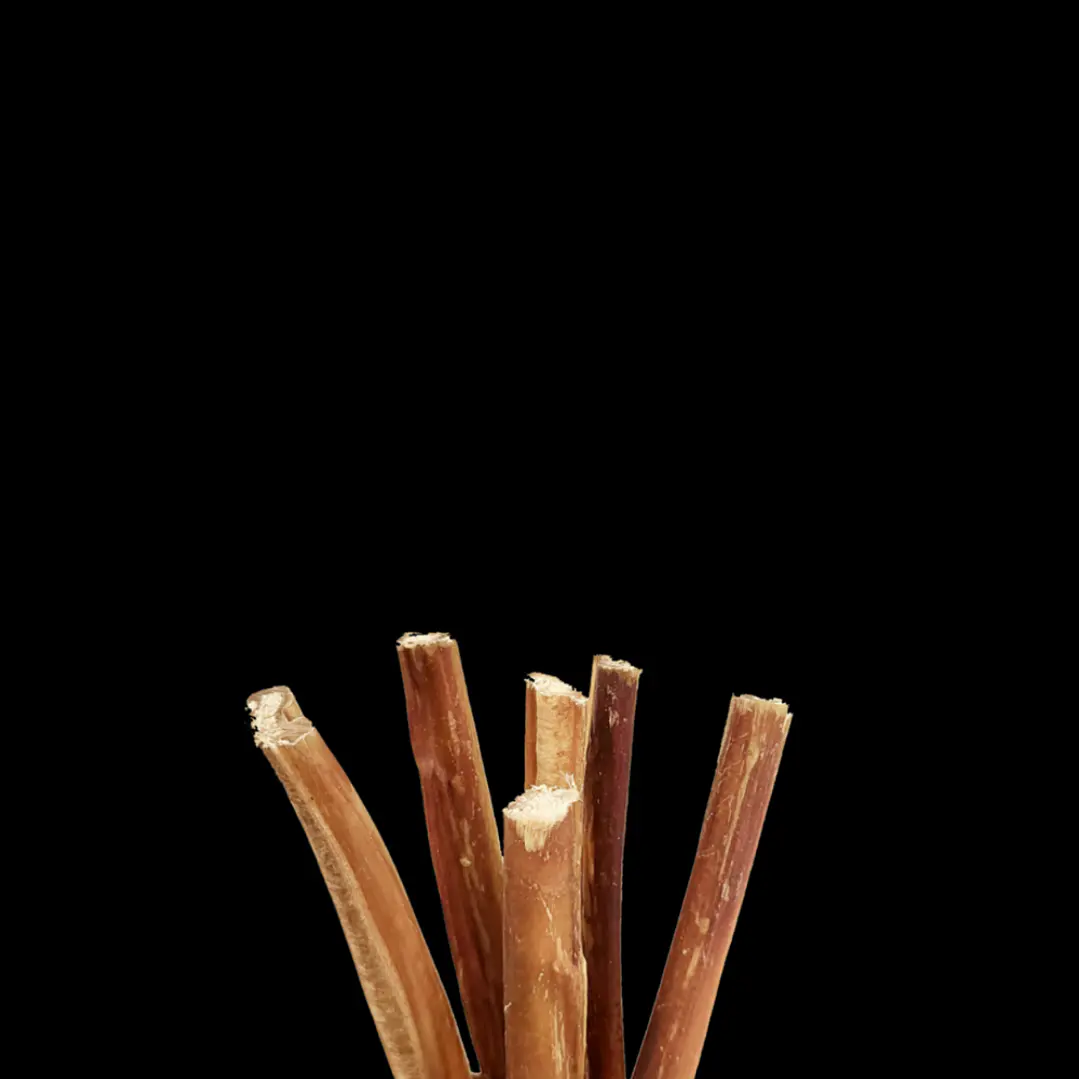 Bully Stick 15 cm JUMBO  1