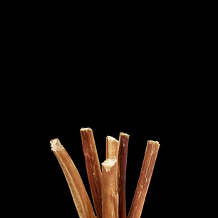 Bully Stick 15 cm JUMBO 