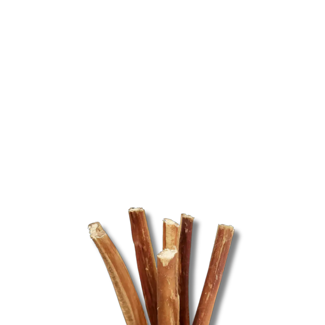 Bully Stick 15cm 1