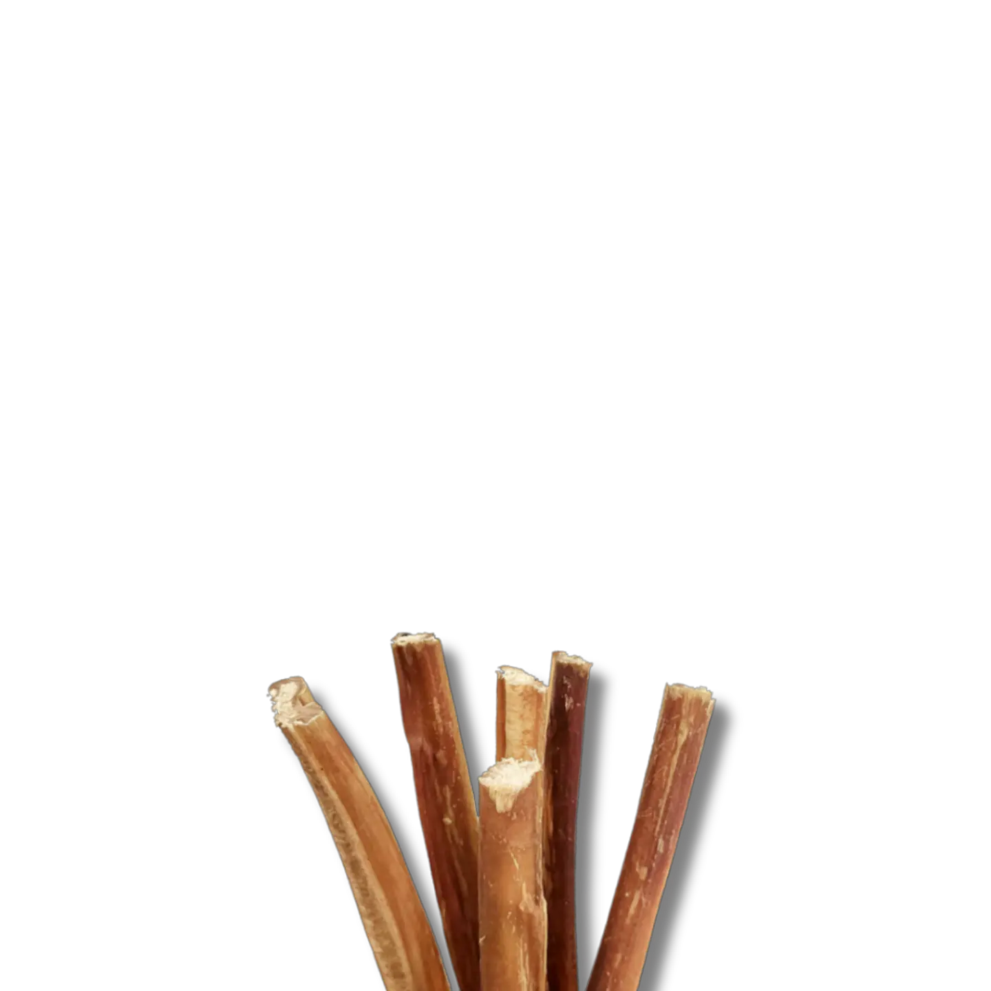 Bully Stick 15 cm 1