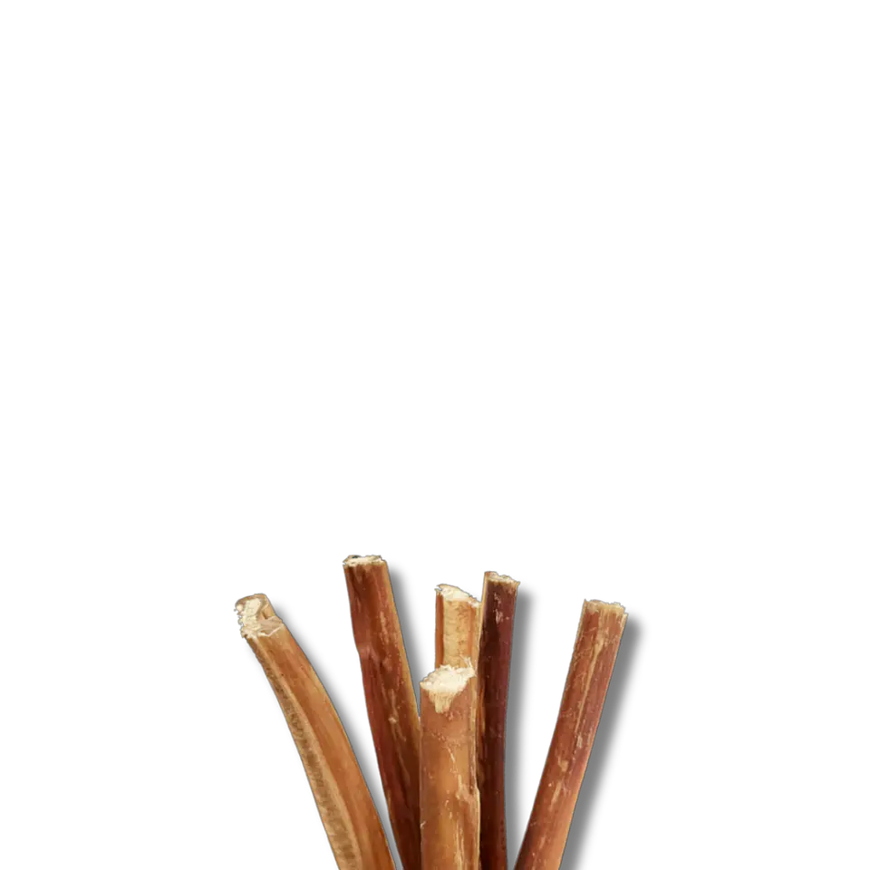 Bully Stick 15 cm 1