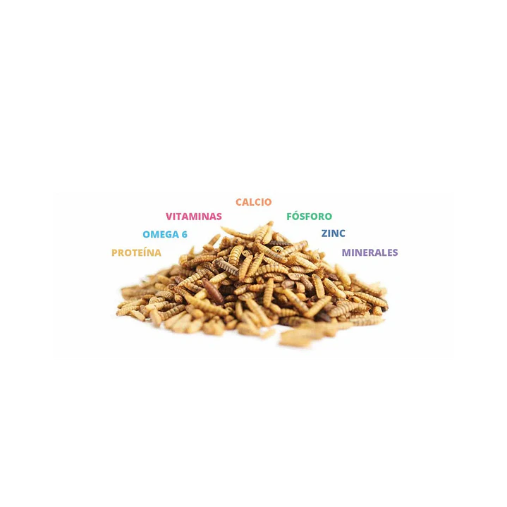 Catit Nuna proteína de insectos y arenque 60gr 2