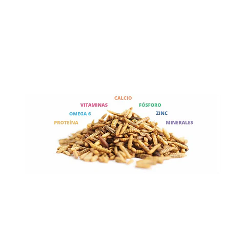 Catit Nuna proteína de insecto y pollo 60 gr