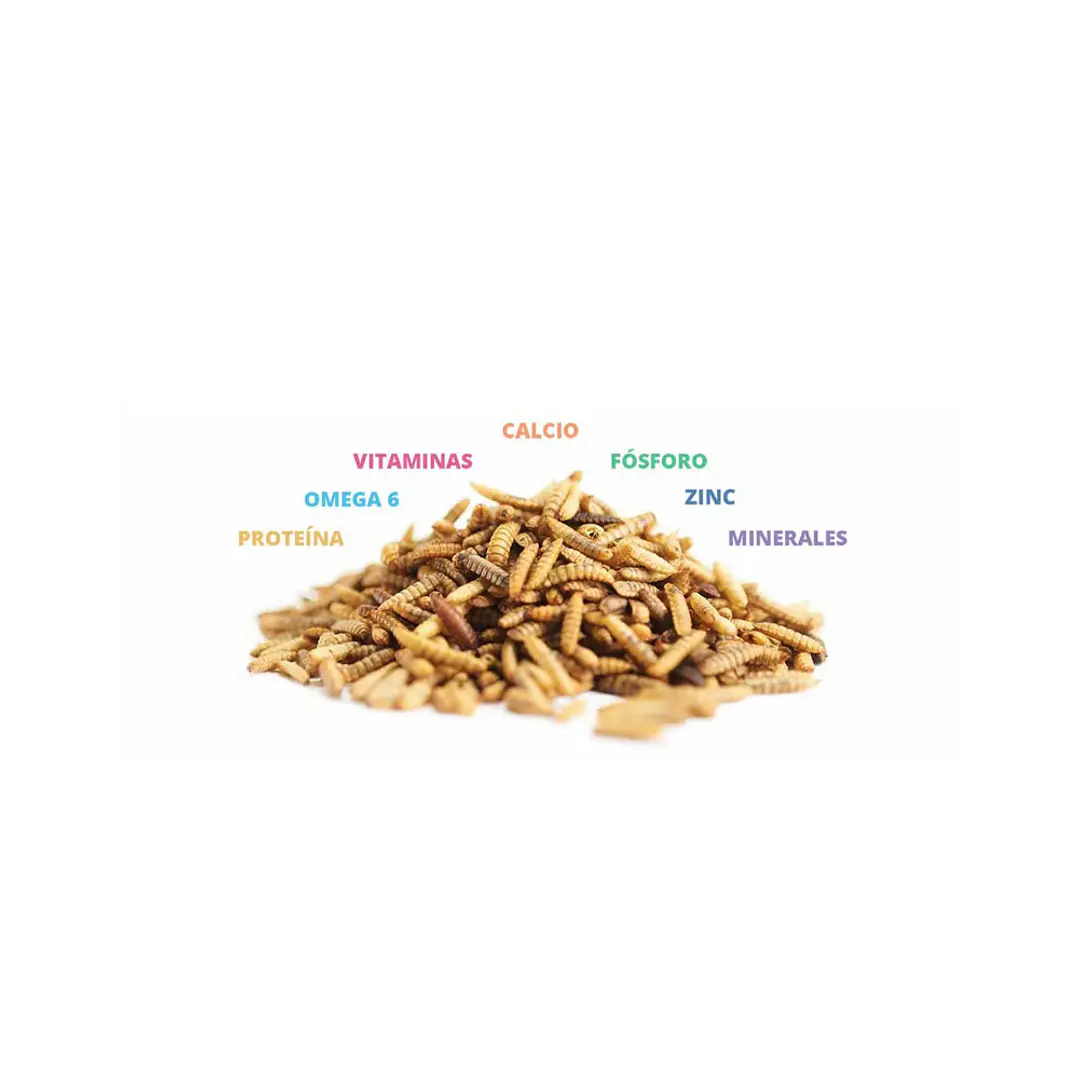 Catit Nuna proteína de insectos y pollo 60gr 2