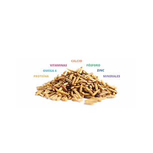 Catit Nuna proteína de insectos y pollo 60gr