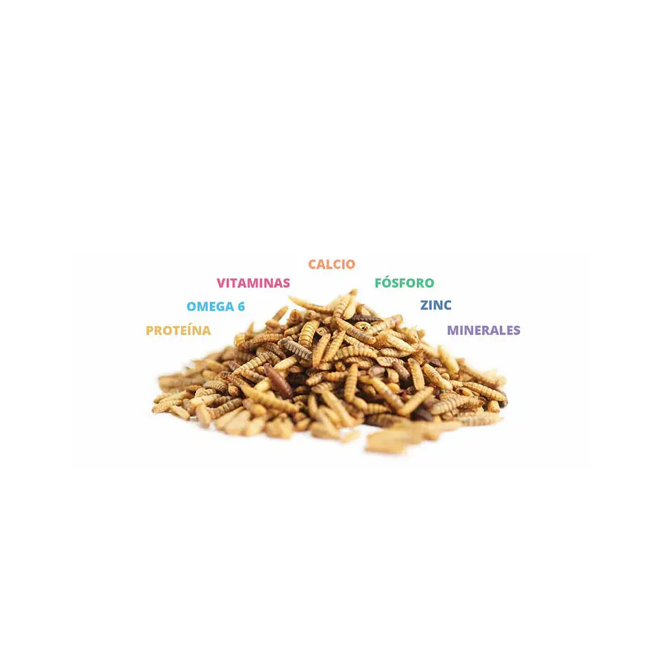 Catit Nuna proteína de insecto y pollo 60 gr 2