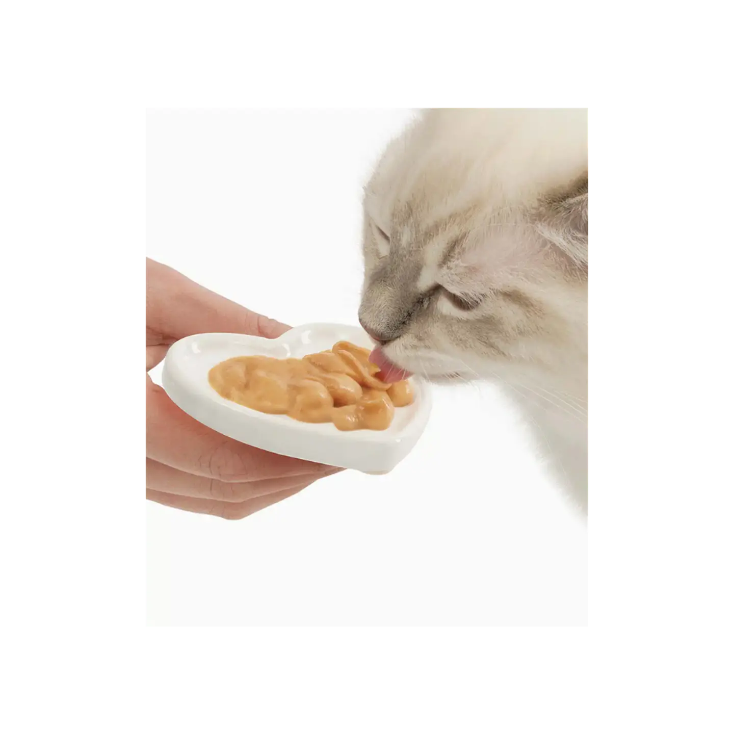 Catit creamy plato de cerámica corazón  4